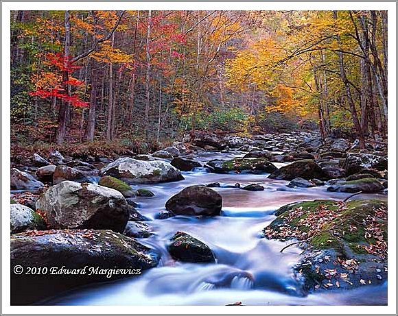 450699   Fall colors along the middle prong of the Little River